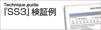 『SS3』検証例
