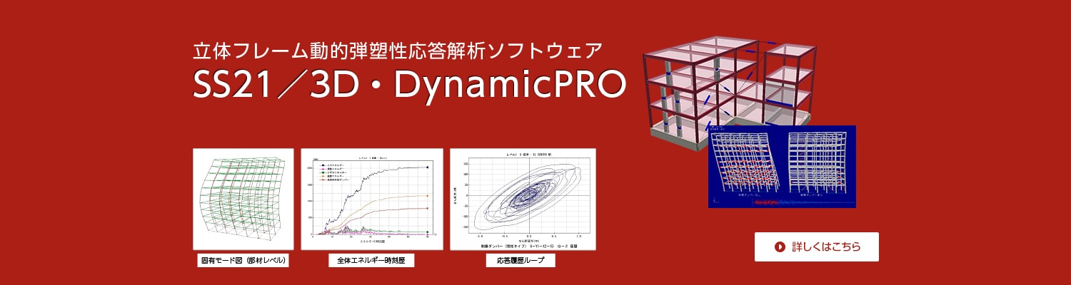 SS21／3D・DynamicPRO