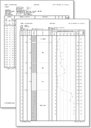 土質柱状図と液状化判定結果の印刷が可能